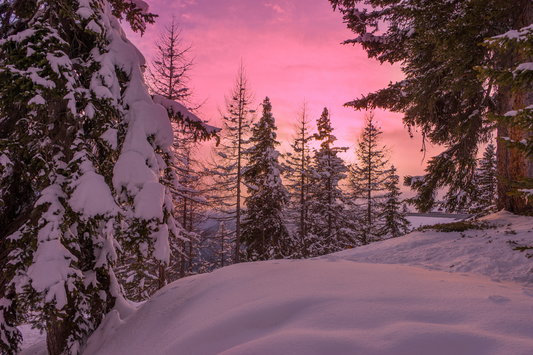 Capturing the Perfect Hike Pictures: Tips for Stunning Trail Photography