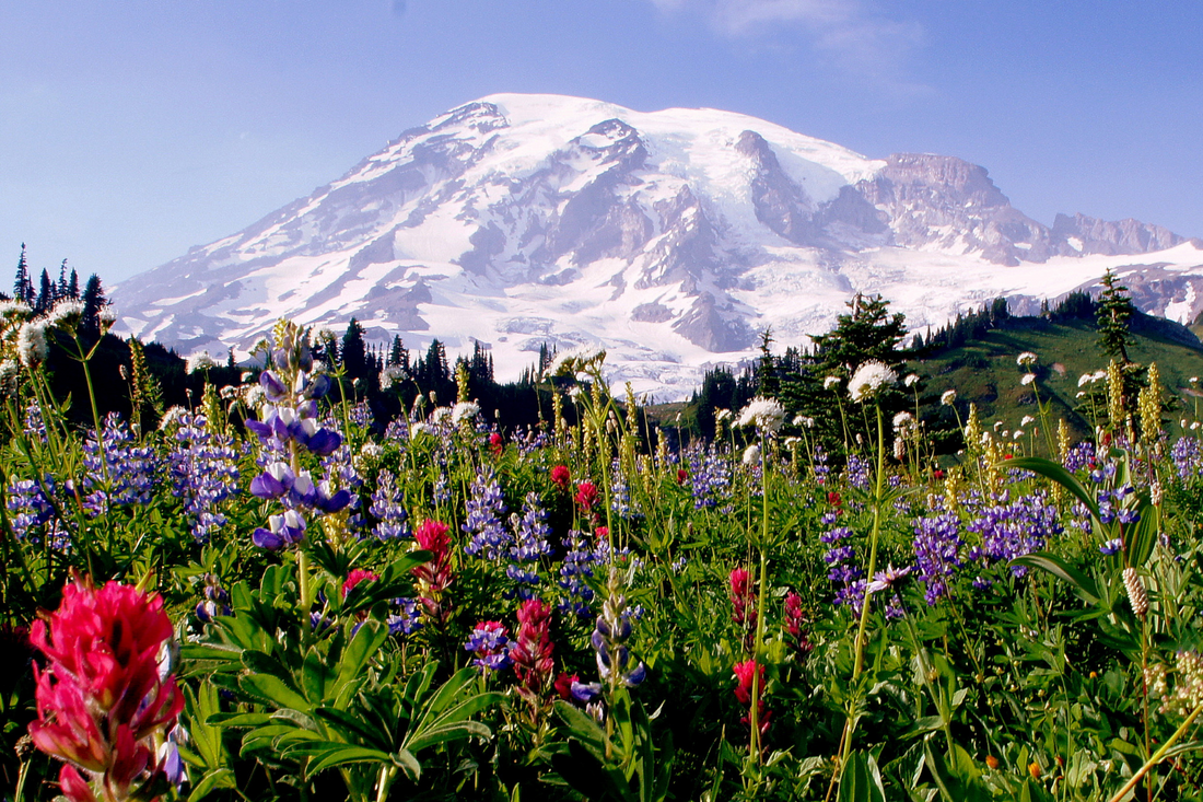 Hiking A Mountain: Tips and Inspiration for Your Next Summit Adventure